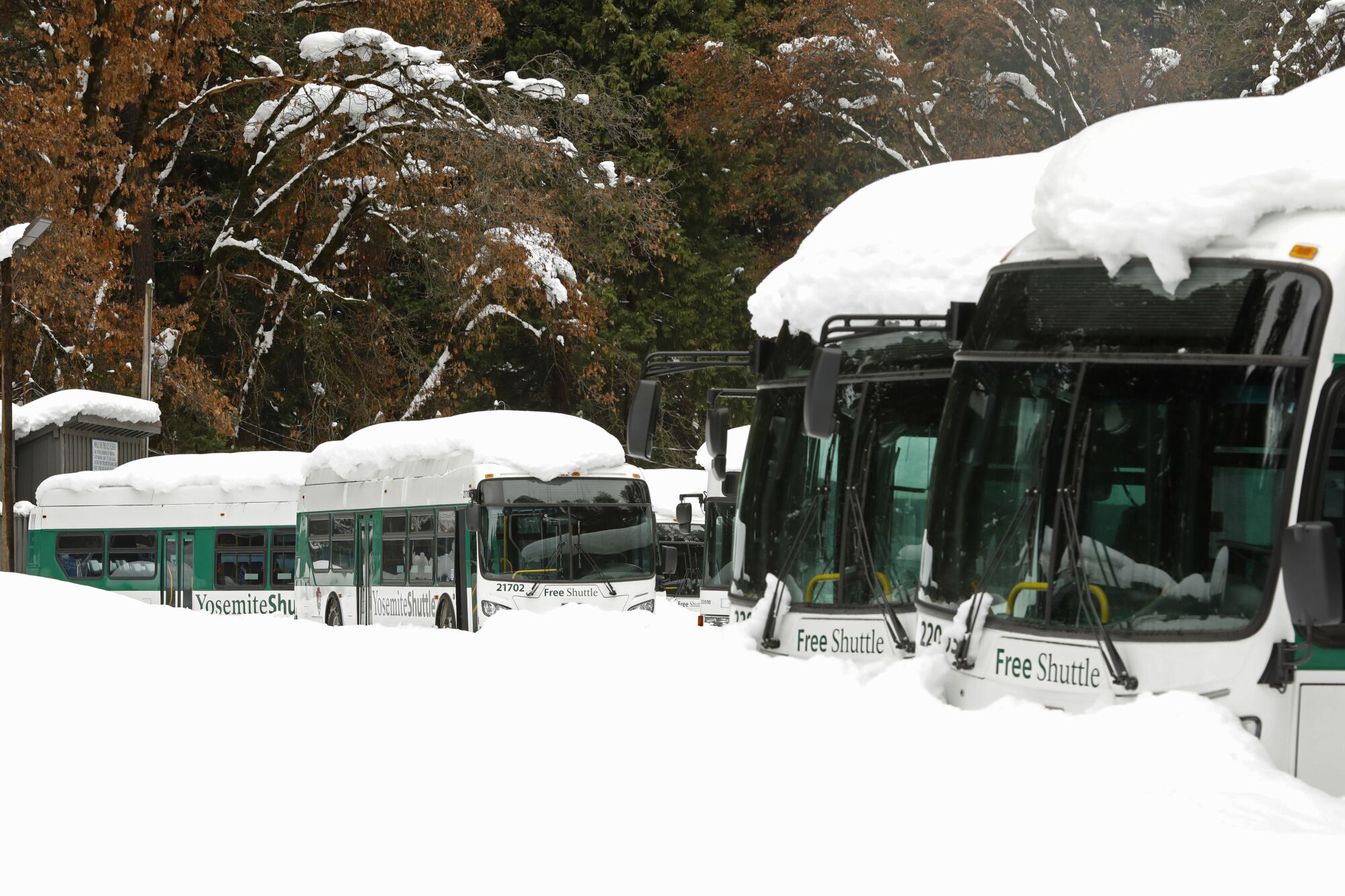 Shuttle buses buried under snow and covered with snow.