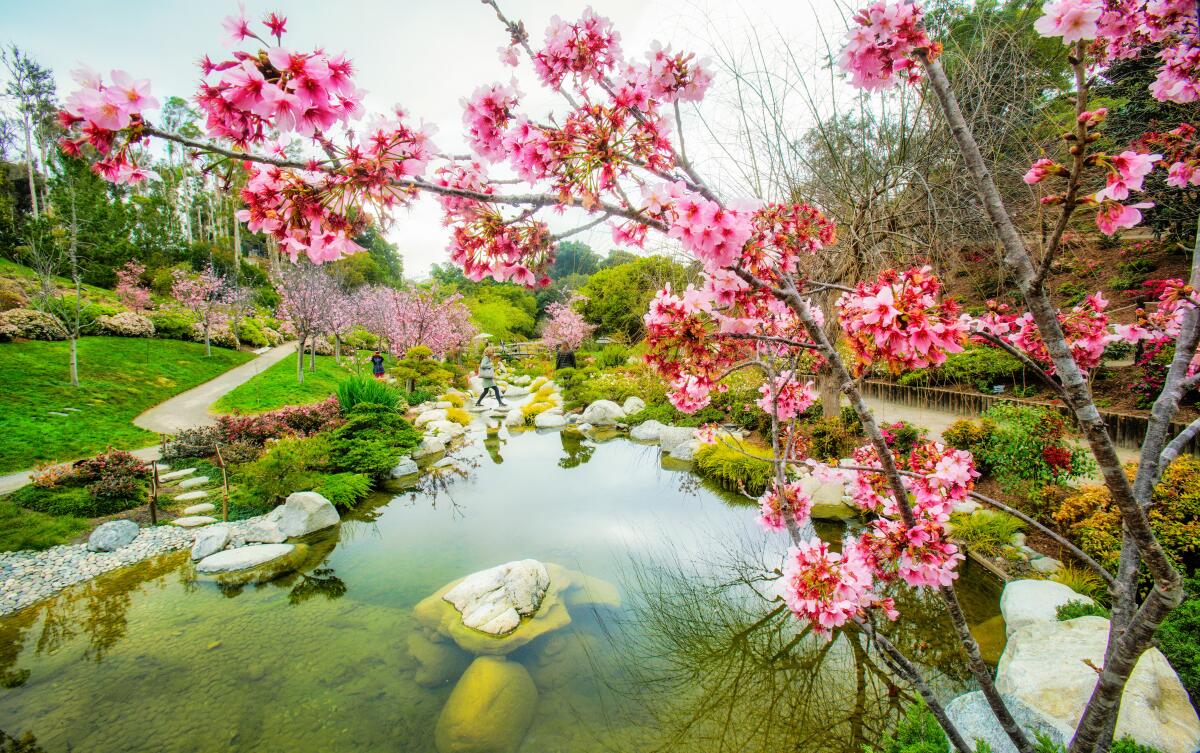 Balboa Park's Japanese Friendship Garden__