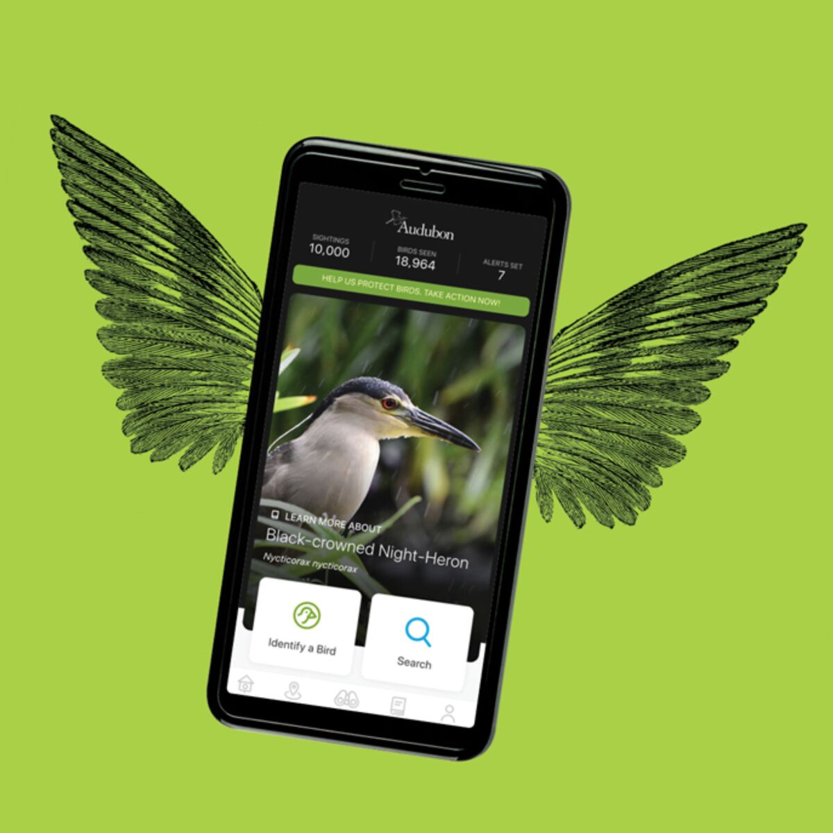 An illustration of wings with a photo of a cellphone