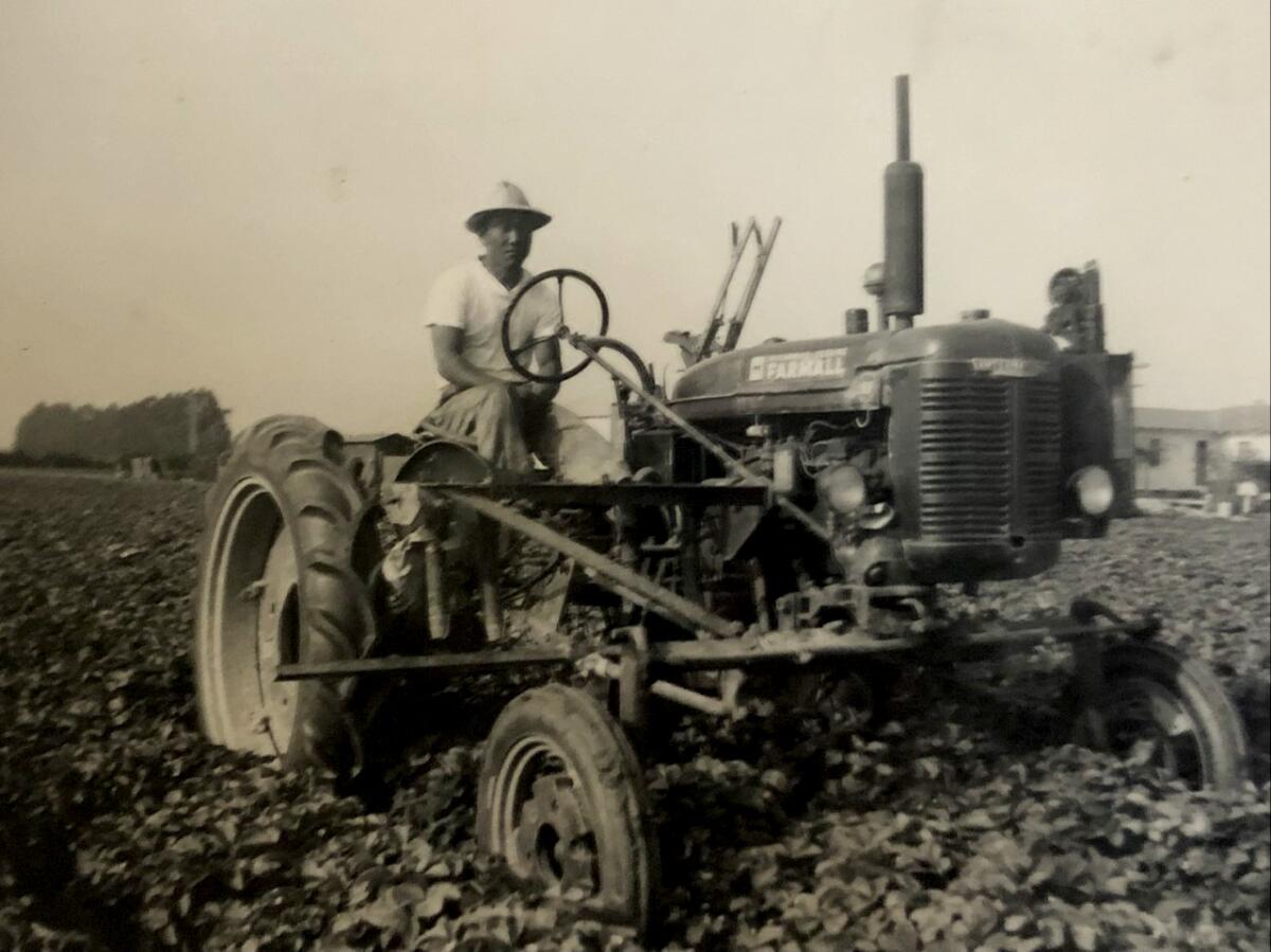 Munemitsu's dad, Tad, driving a tractor on the family's Westminster farm.