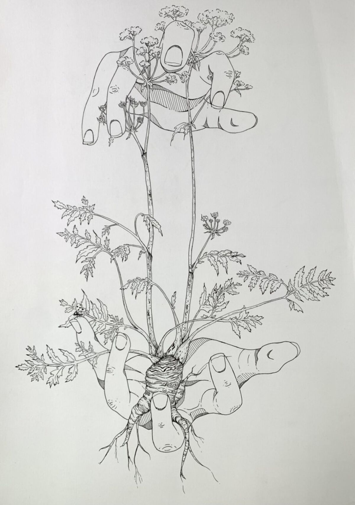 Belen Suros, a junior at The Bishop's School, said having her piece in the SDMA “Young Art” show was "an honor."