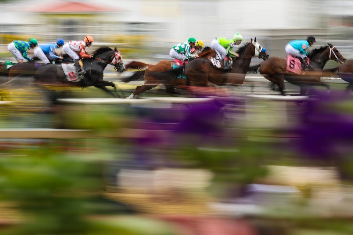 Horses race ahead of the 148th running of the Preakness Stakes at Pimlico Race Course.