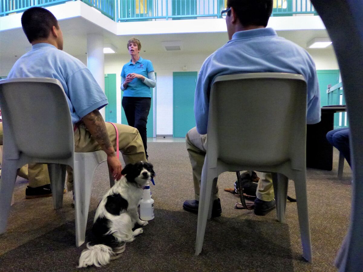 Cell Dogs founder Janette Thomas speaks during a visit to Orange County Animal Care in 2009.