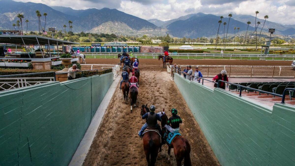 Jockeys and horses enter the track for a race at Santa Anita Park in April.