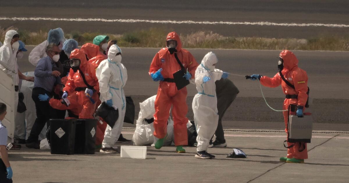 Les Californiens infectés par l’hantavirus vivent dans la Bay Area, ont déclaré des responsables