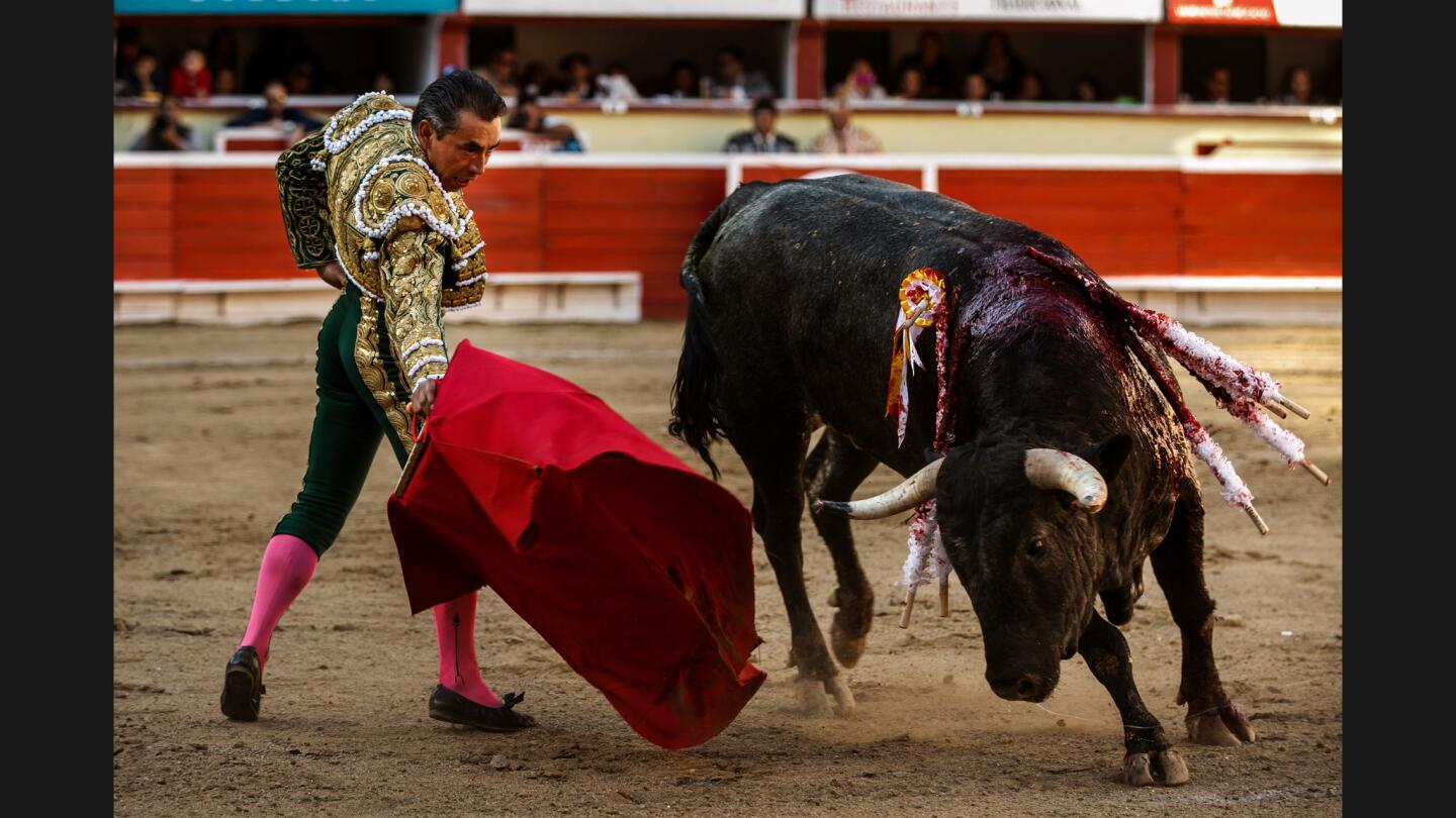 Bullfight in Tijuana