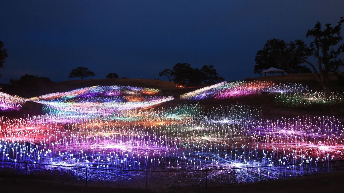 Bruce Munro's Field of Light at Sensorio. 