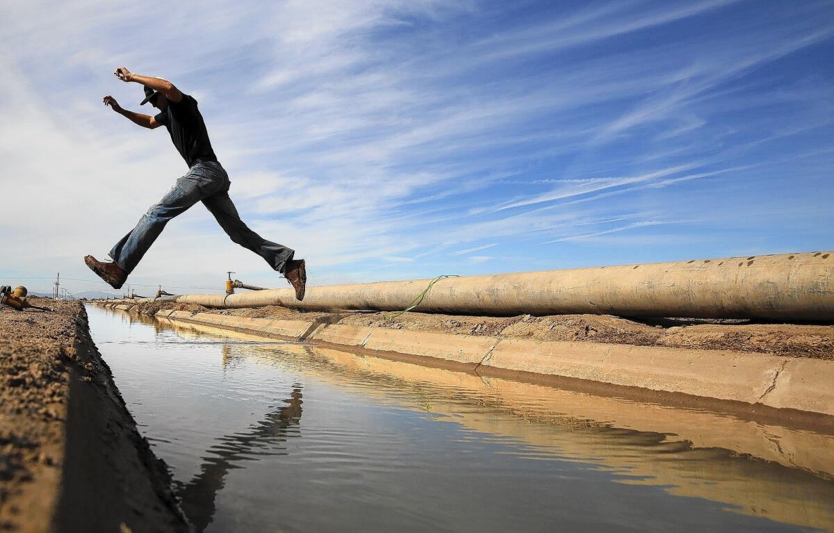 Imperial Valley farmer Thomas Cox leaps across an irrigation canal