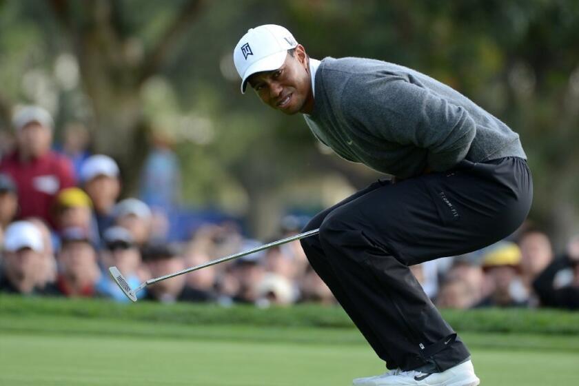 Tiger Woods has a commanding lead at Torrey Pines.