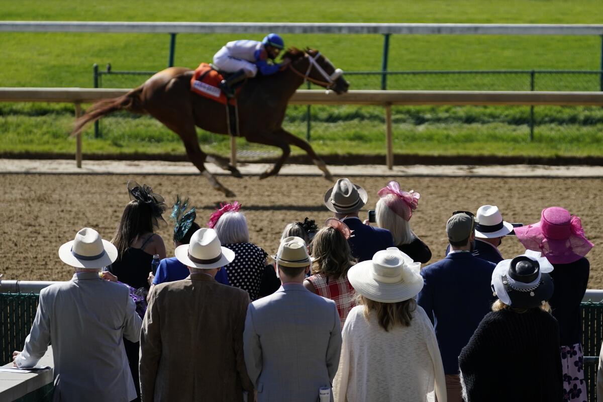 Fans watch a race before the 147th running of the Kentucky Derby at Churchill Downs on Saturday.