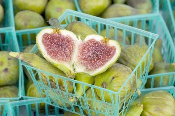 Adriatic figs