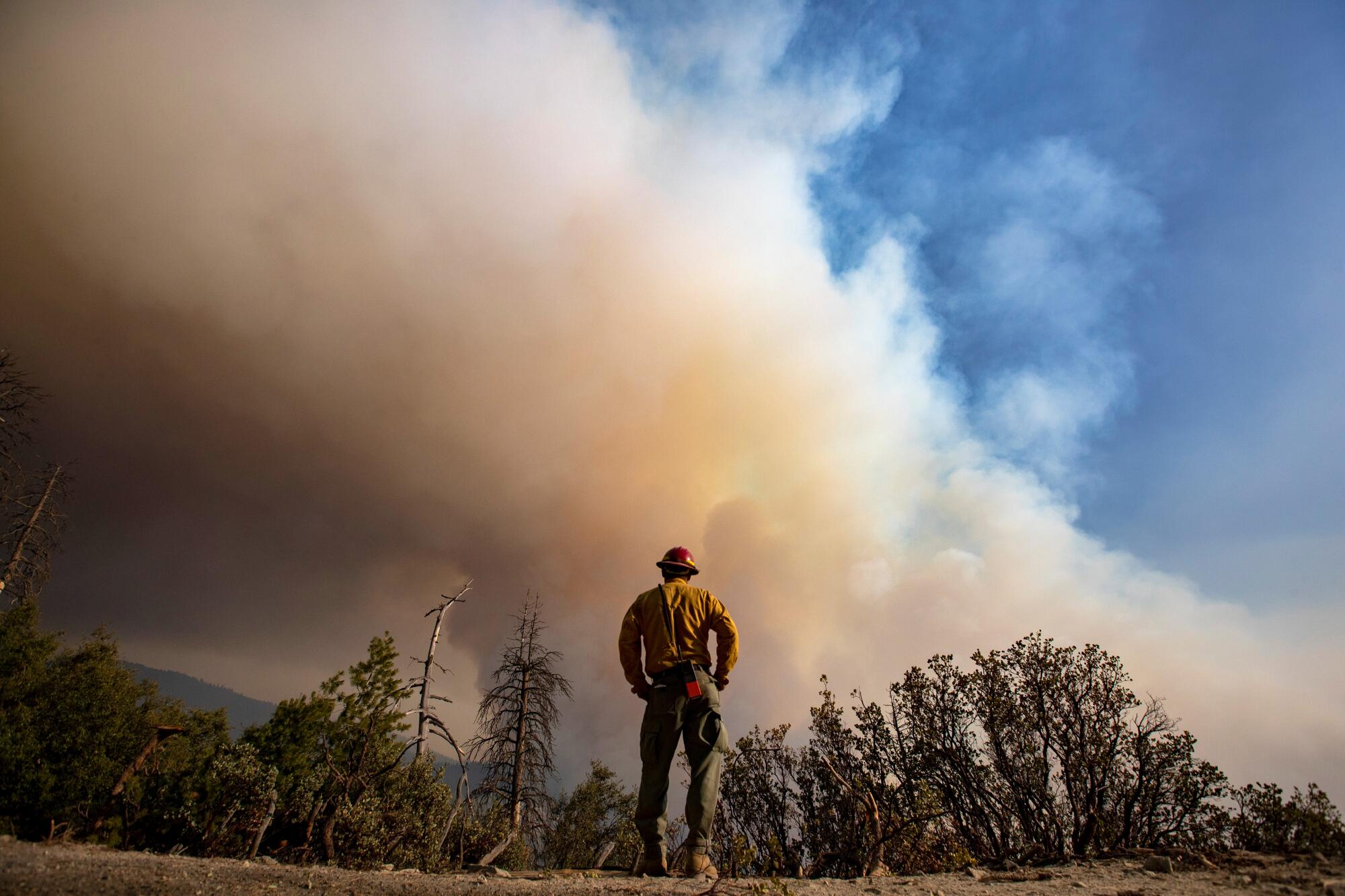 A man in a helmet looks at smoke rising from a forest