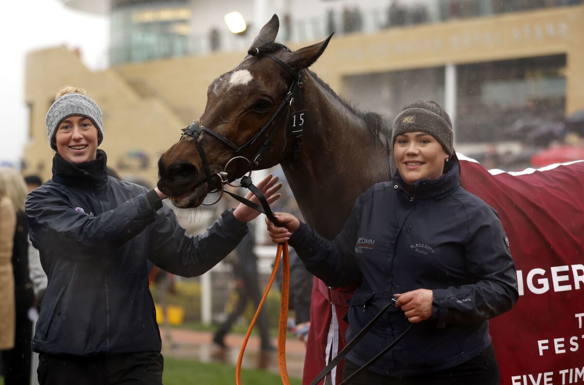 Tiger Roll has a lap of honour in the parade ring as he retires after finishing second in the Glenfarclas Chase during day two of the Cheltenham Festival at Cheltenham Racecourse in Cheltenham, England, Wednesday, March 16, 2022. (Steven Paston/PA via AP)