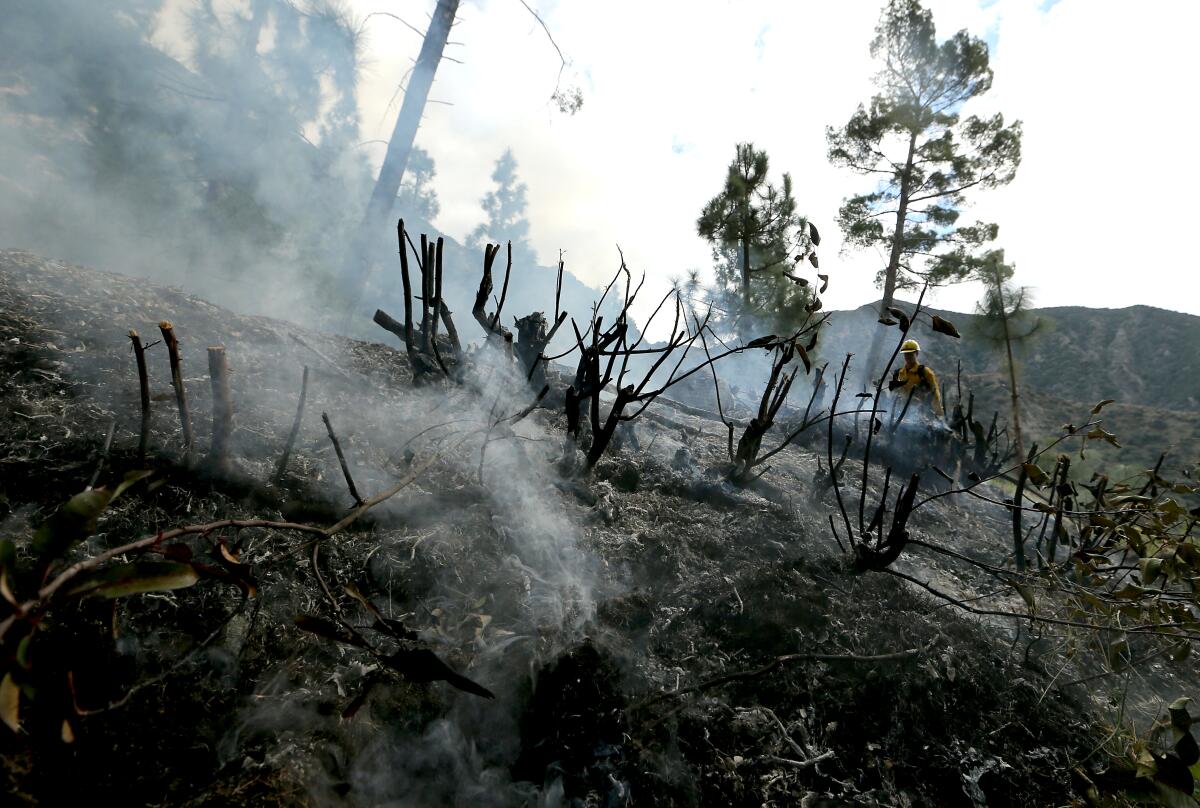 Smoke rises from a prescribed burn that charred vegetation below Mount Baldy last year. 