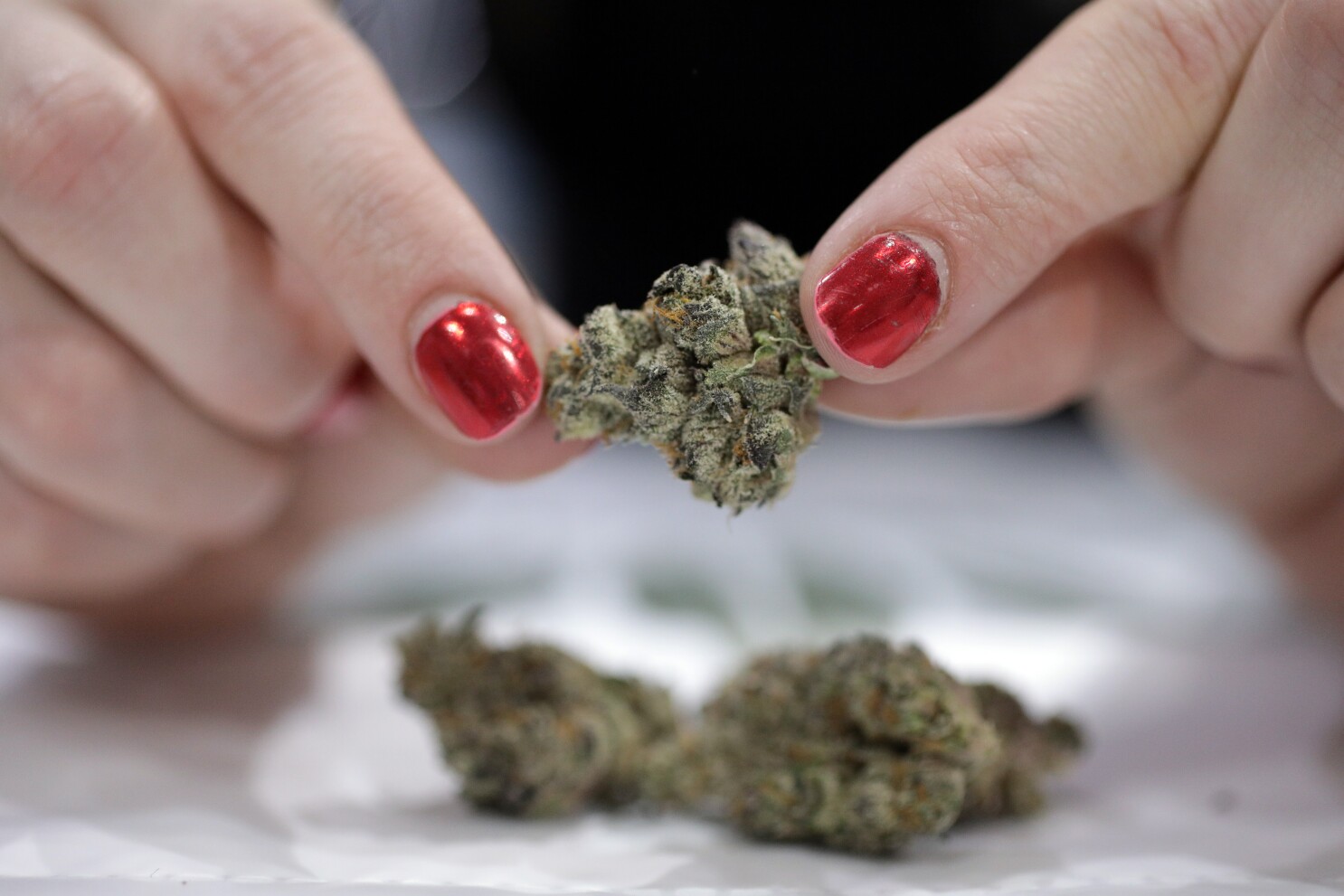 Weed And Gambling Weed And Gambling