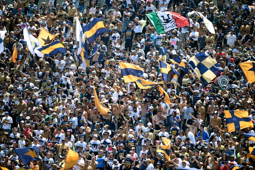 Pumas fans cheer during a Mexican Apertura 2019 tournament football match against Necaxa at the Olimpico Universitario stadium on July 28, 2019, in Mexico City. (Photo by ALFREDO ESTRELLA / AFP) (Photo credit should read ALFREDO ESTRELLA/AFP via Getty Images)