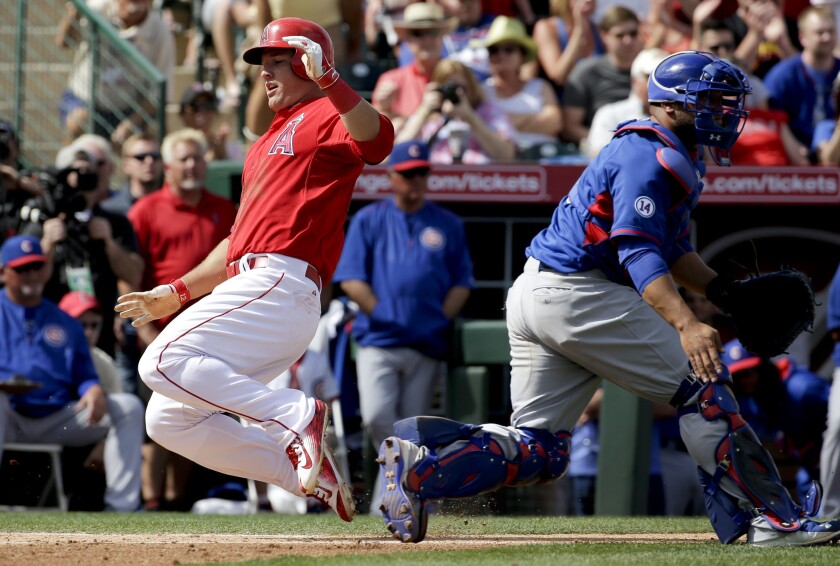 Angels outfielder Mike Trout slides in with a run against the Cubs in a spring training game.