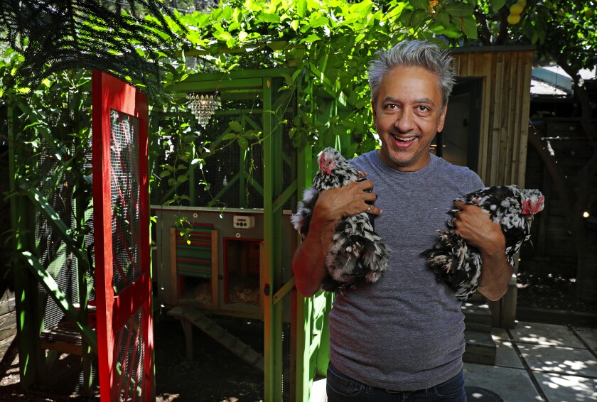 Irwin Miller, with two of his silver-laced Cochins, furnished his custom coop with a motorized ChickenGuard automatic door opener and a crystal chandelier.