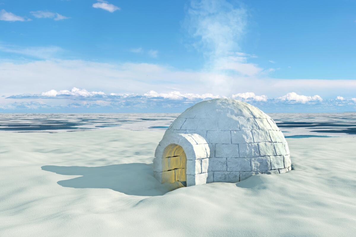 Is an igloo likely to be part of any La Jolla teenager's ideal life? It depends on the spin, Inga says.