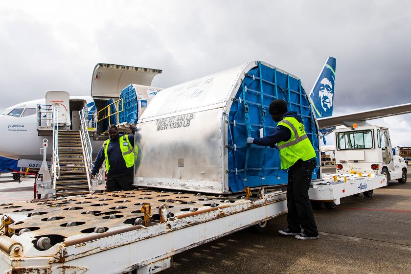 Alaska Airlines has converted two Boeing 737-800s passenger planes to add to its fleet of cargo planes.