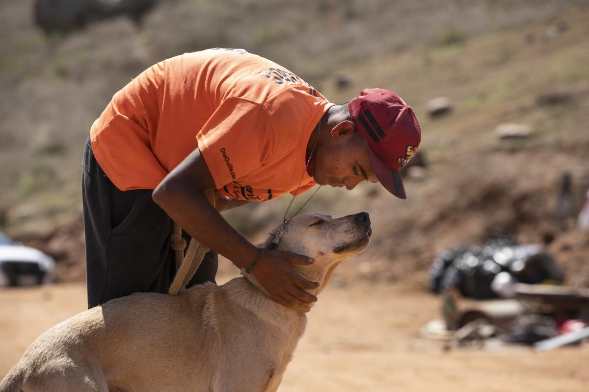 Ángel Muñoz, de 19 años, cuida perros en el Santuario Guillermina 