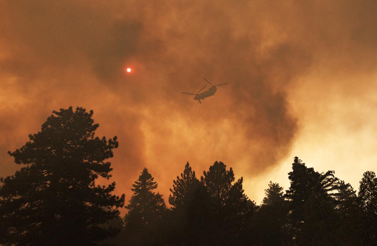 A helicopter flies into thick smoke over trees