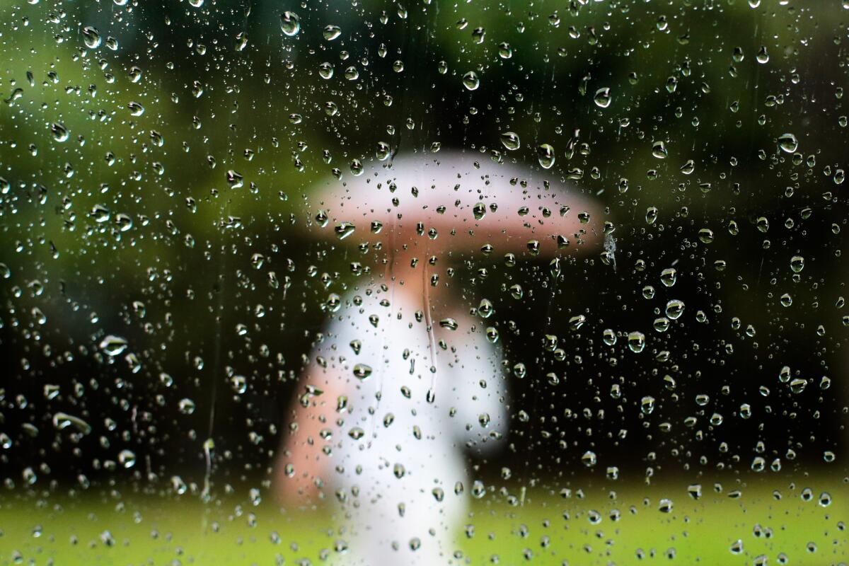 Does rainy weather affect your lower back pain? A new study says no.
