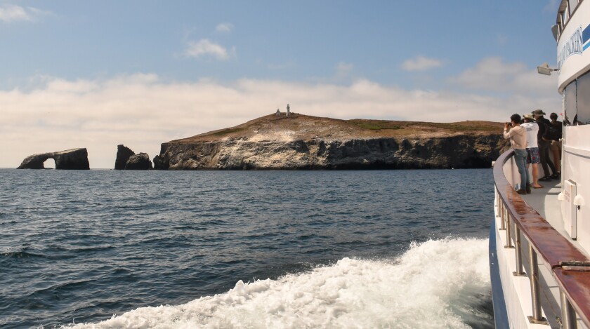Anacapa Island is for the birds. And cooped-up people. 