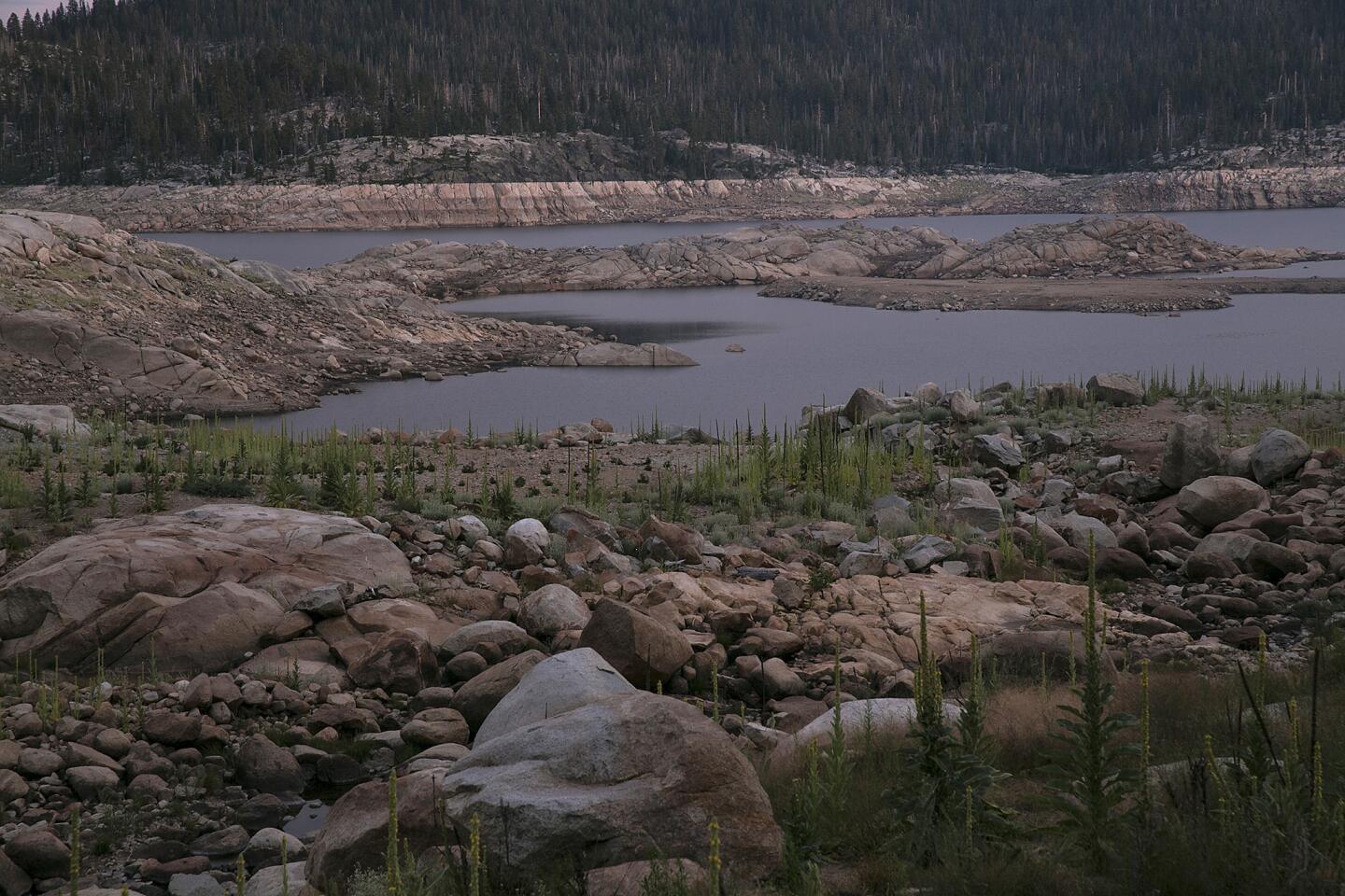 Spicer Meadow Reservoir