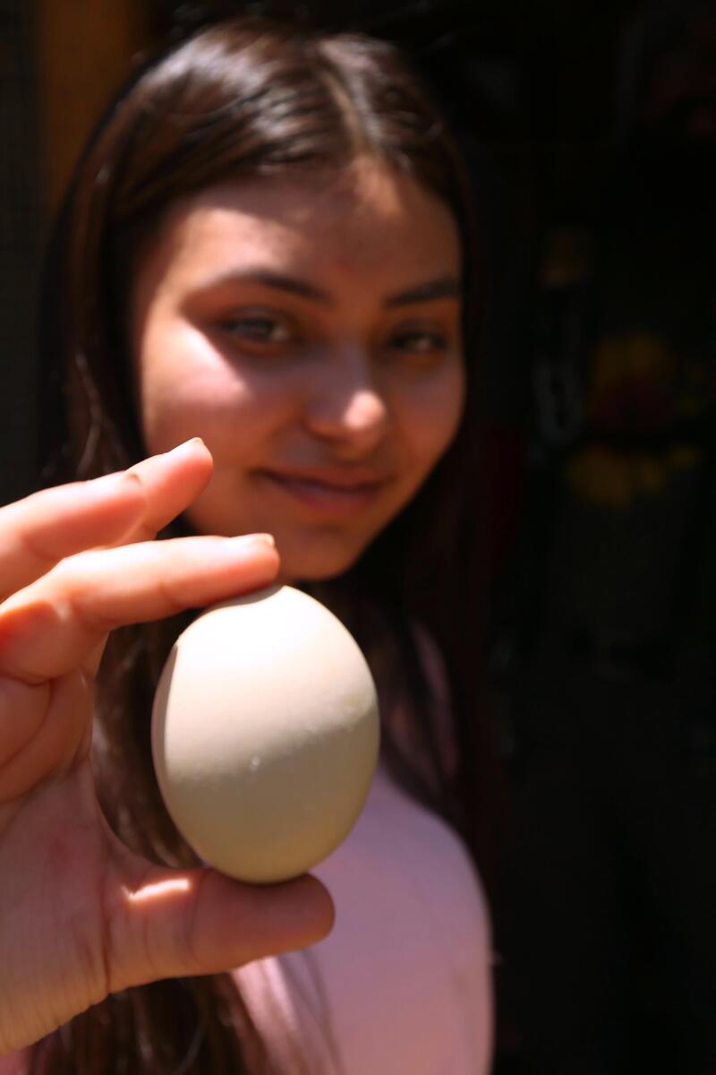 A student holds up an egg.