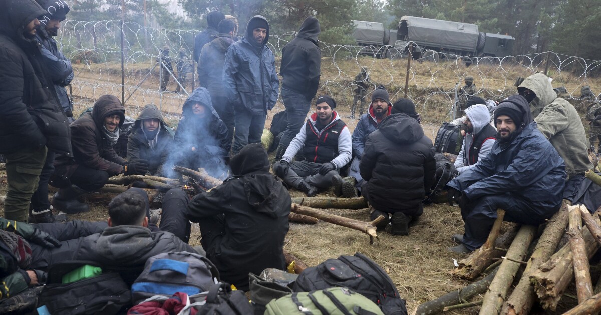 Die EU wirft Weißrussland vor, Migranten an die Grenze „geschmuggelt“ zu haben
