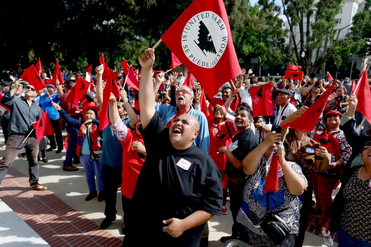 Fabric Fierros of Salinas and other United Farm Workers members cheer as Senate President Pro Tem Kevin De Leon (D-Los Angeles) appears in a balcony during a rally after California lawmakers passed legislation that would expand overtime pay for farmworkers.