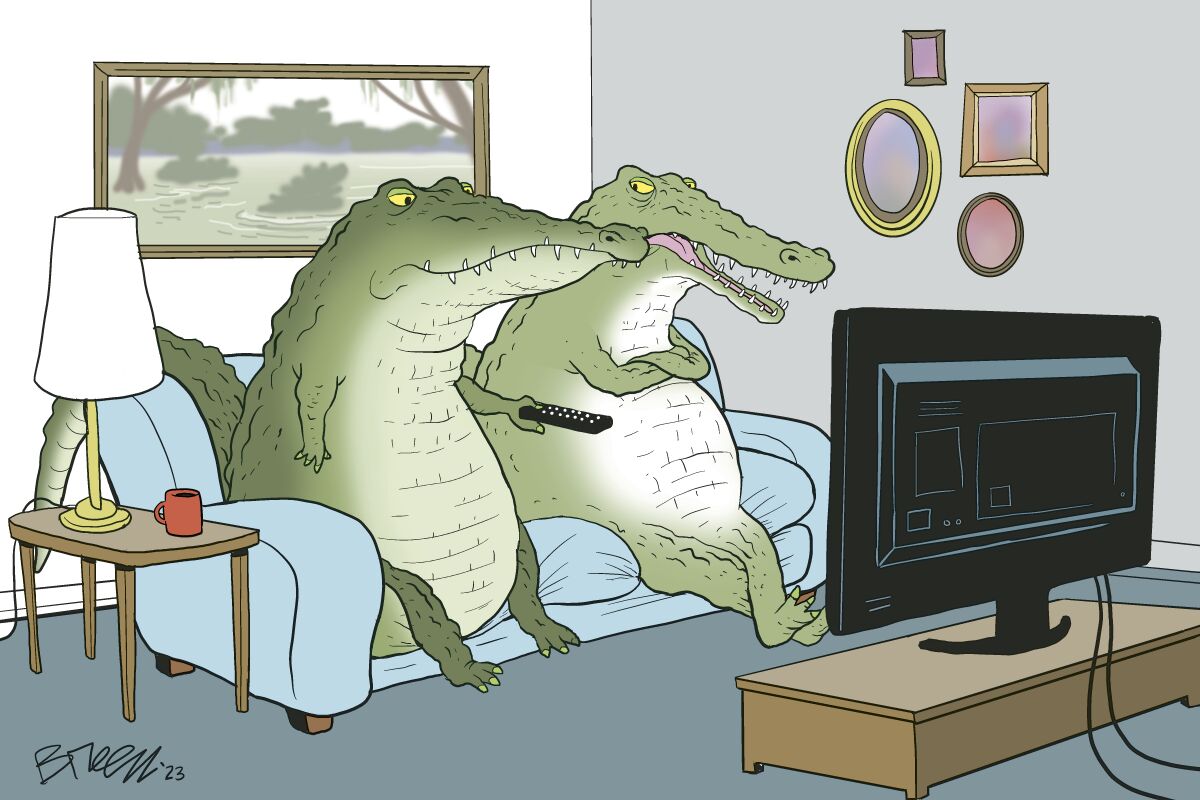 breen couch gators
