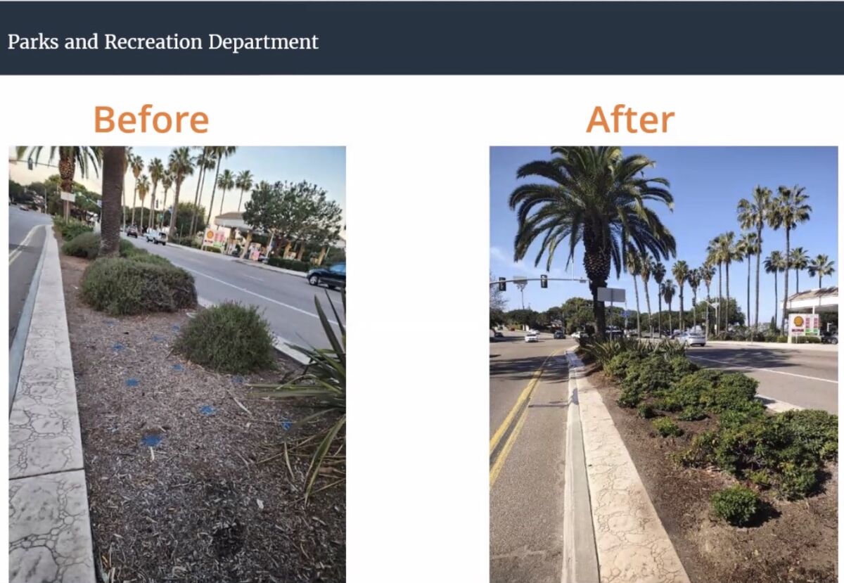 San Diego parks staff presented before-and-after photos showing work done in the medians at "The Throat" in La Jolla.