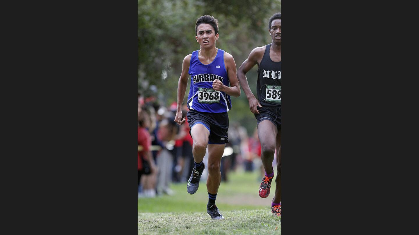 Photo Gallery: Pacific League boys' cross country finals at County Park in Arcadia