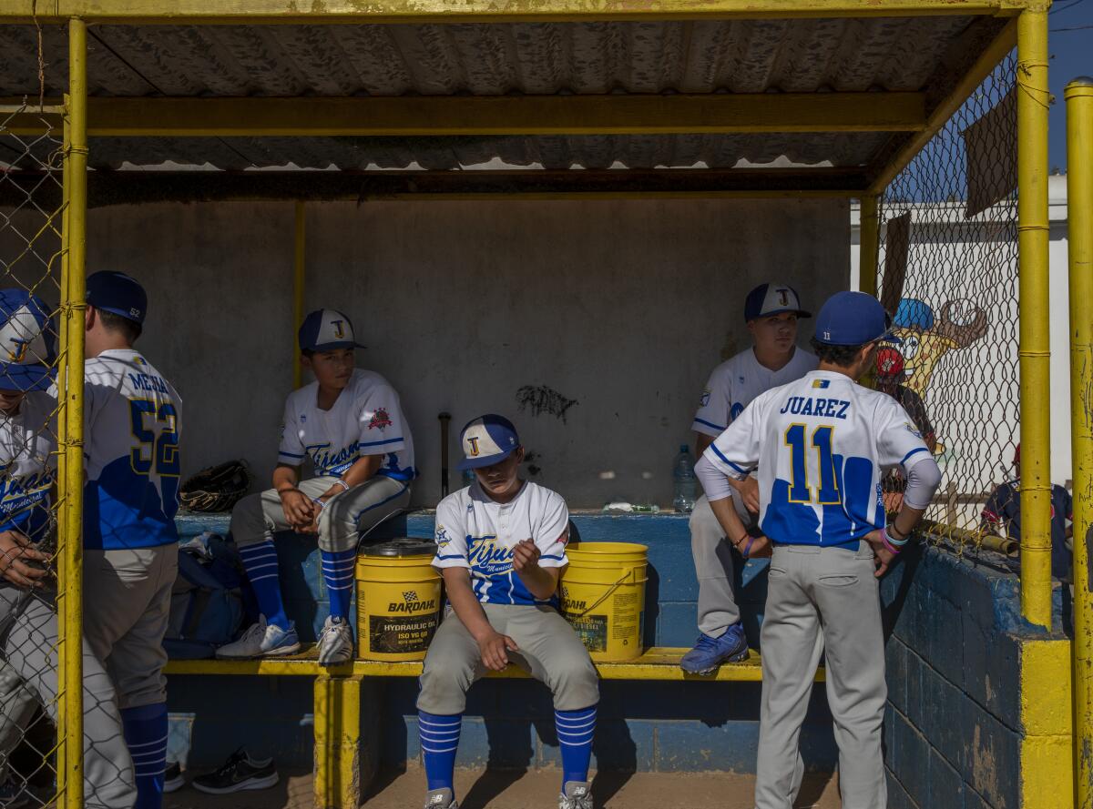Tijuana baseball team headed to the Little League World Series