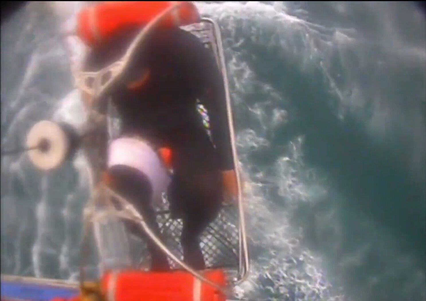 Surfer Grateful To Be Alive After Shark Bite Near Channel Islands Los Angeles Times