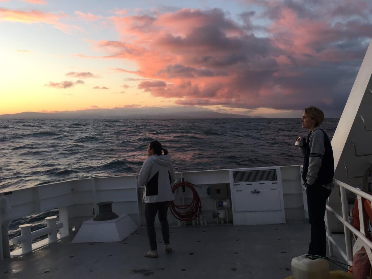 Recent Occidental graduates Heidi Aronson and Dana Michels admire the sunset after the day's work.