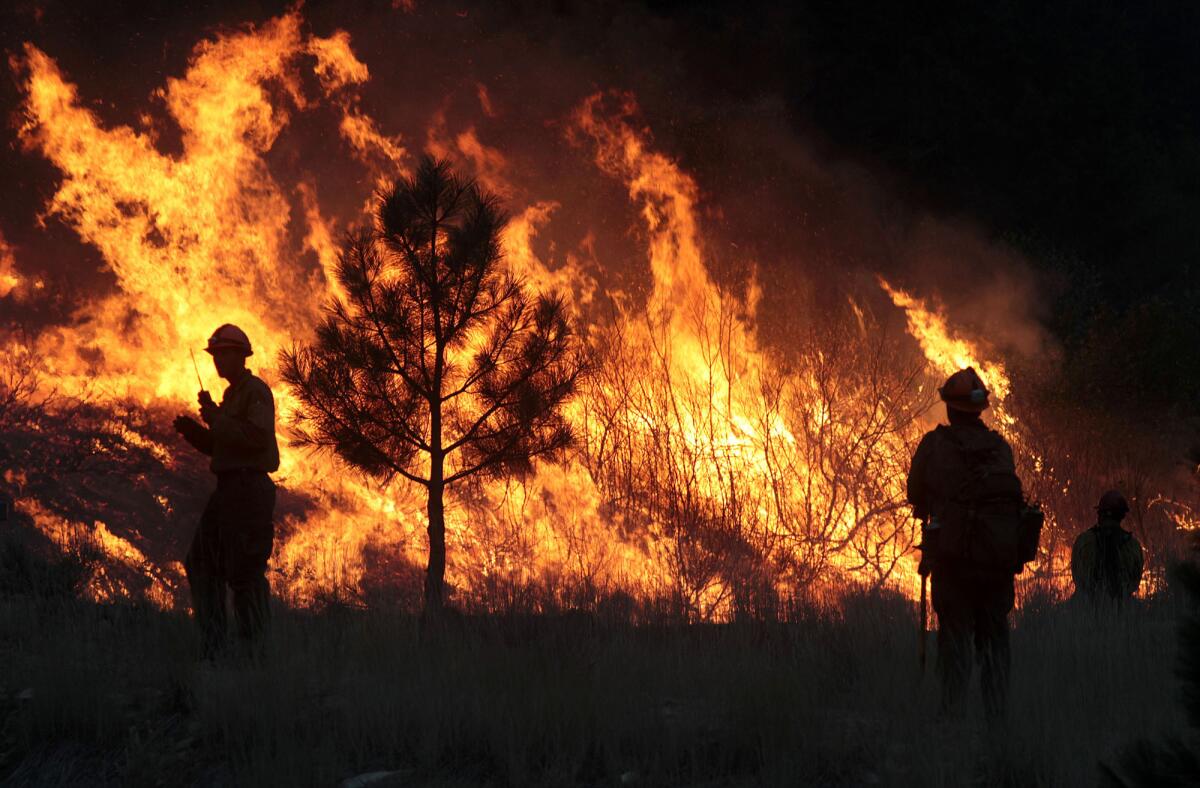 Firefighters start a back burn while battling the Elk Complex fire near Pine, Idaho.