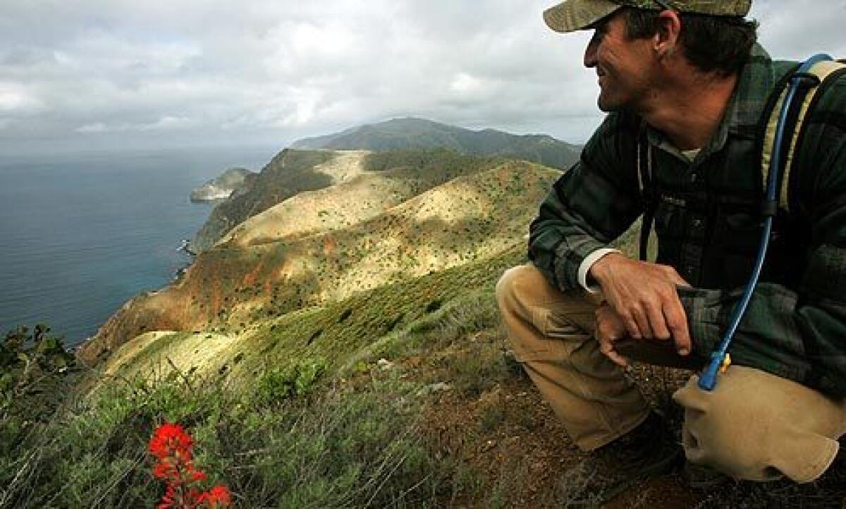 Kevin Ryan, trail coordinator for the Catalina Island Conservancy, pauses along the 37-mile Trans-Catalina Island Trail, which officially opens Saturday. More photos >>>