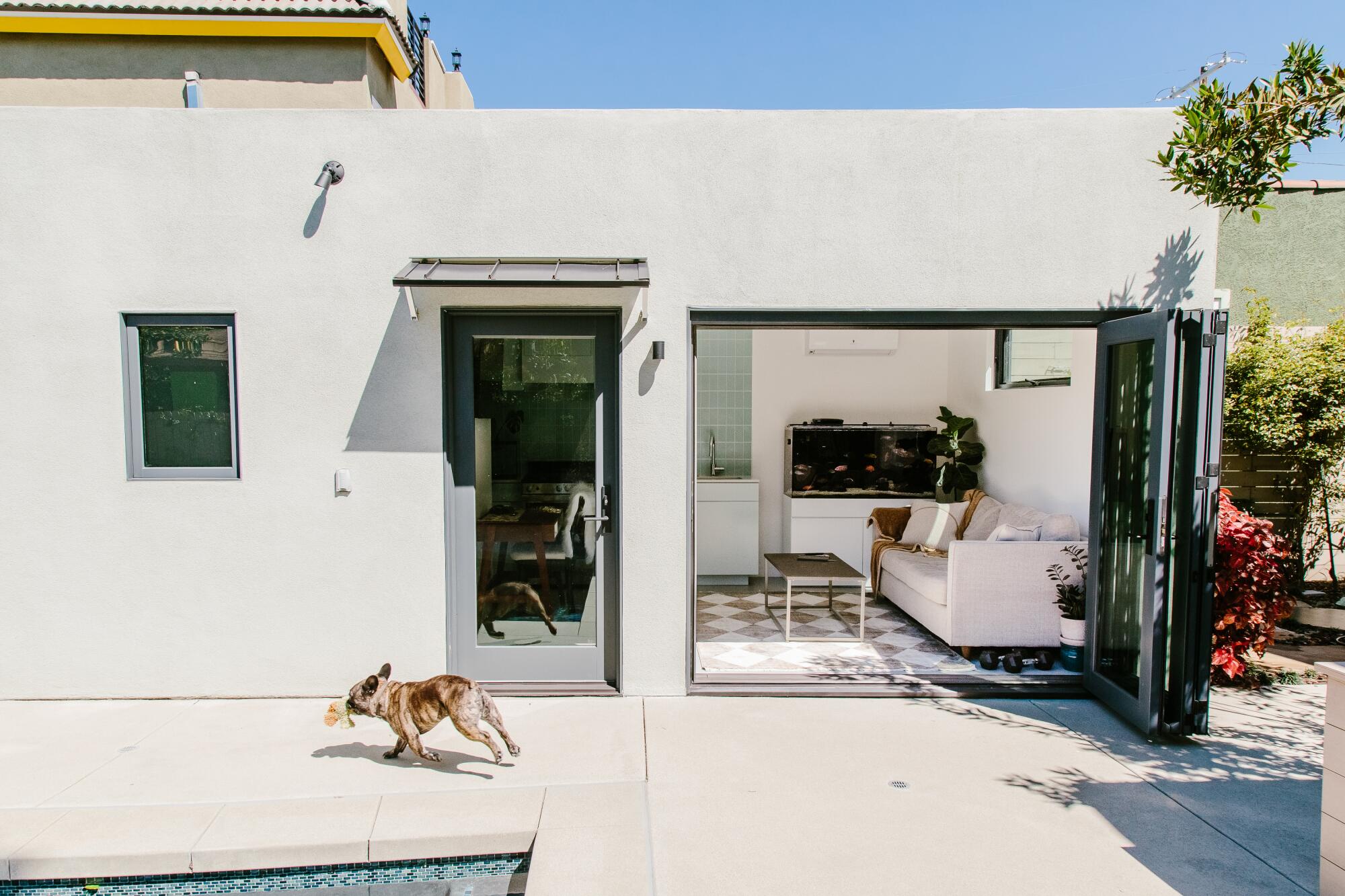 A dog runs by a converted garage ADU 