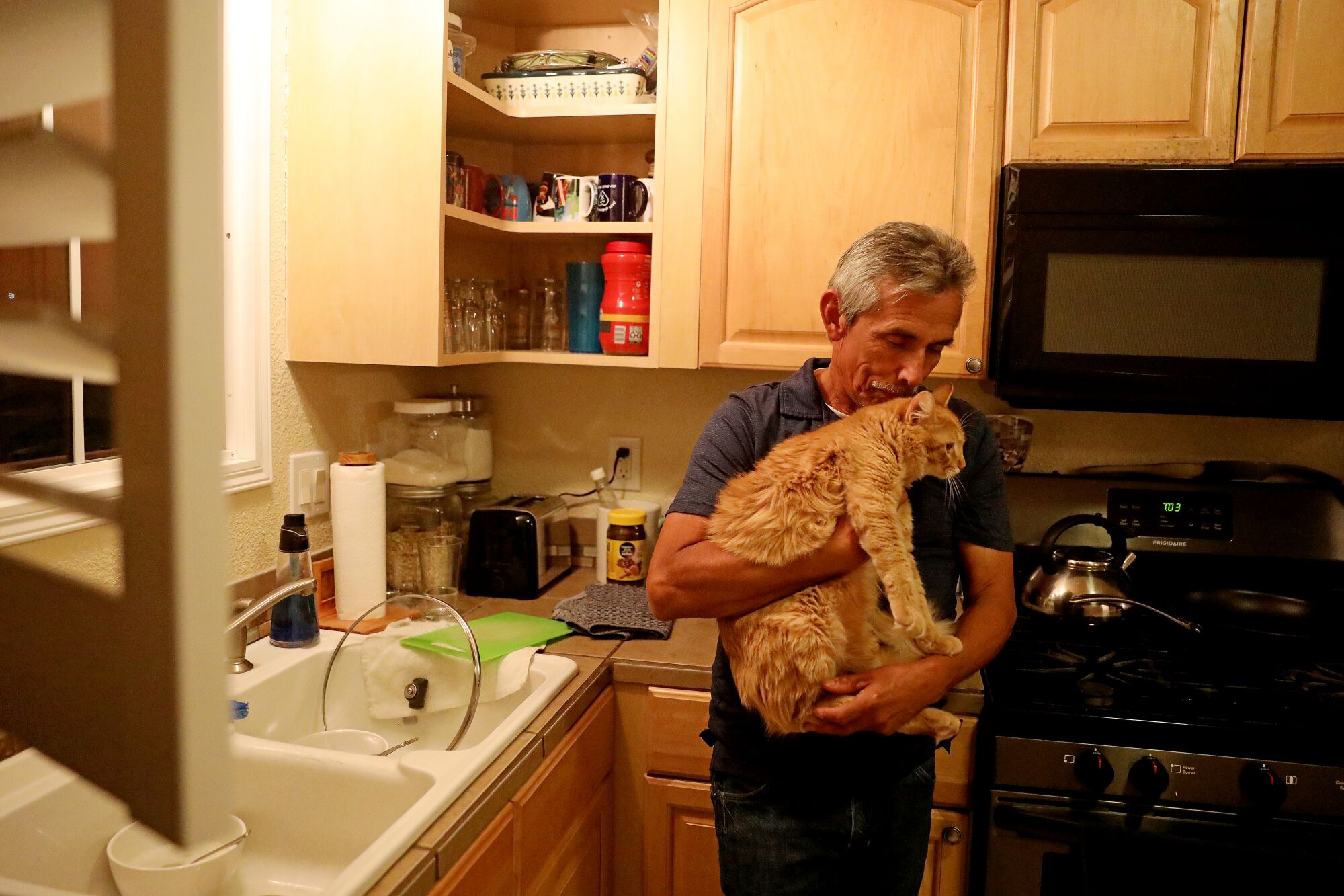 A man stands holding a cat in a small kitchen.