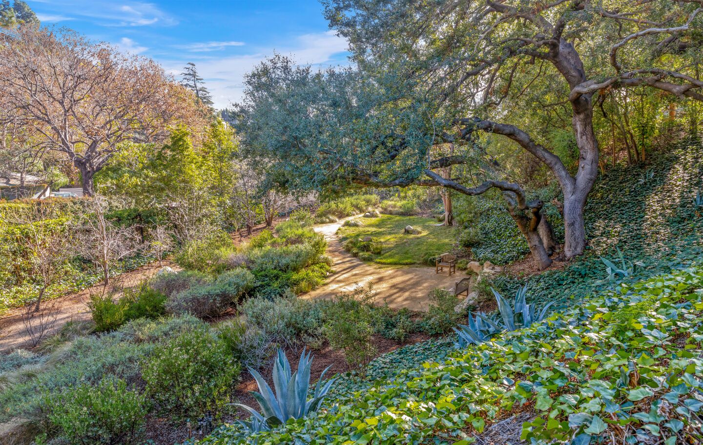 Paths through the gardens.