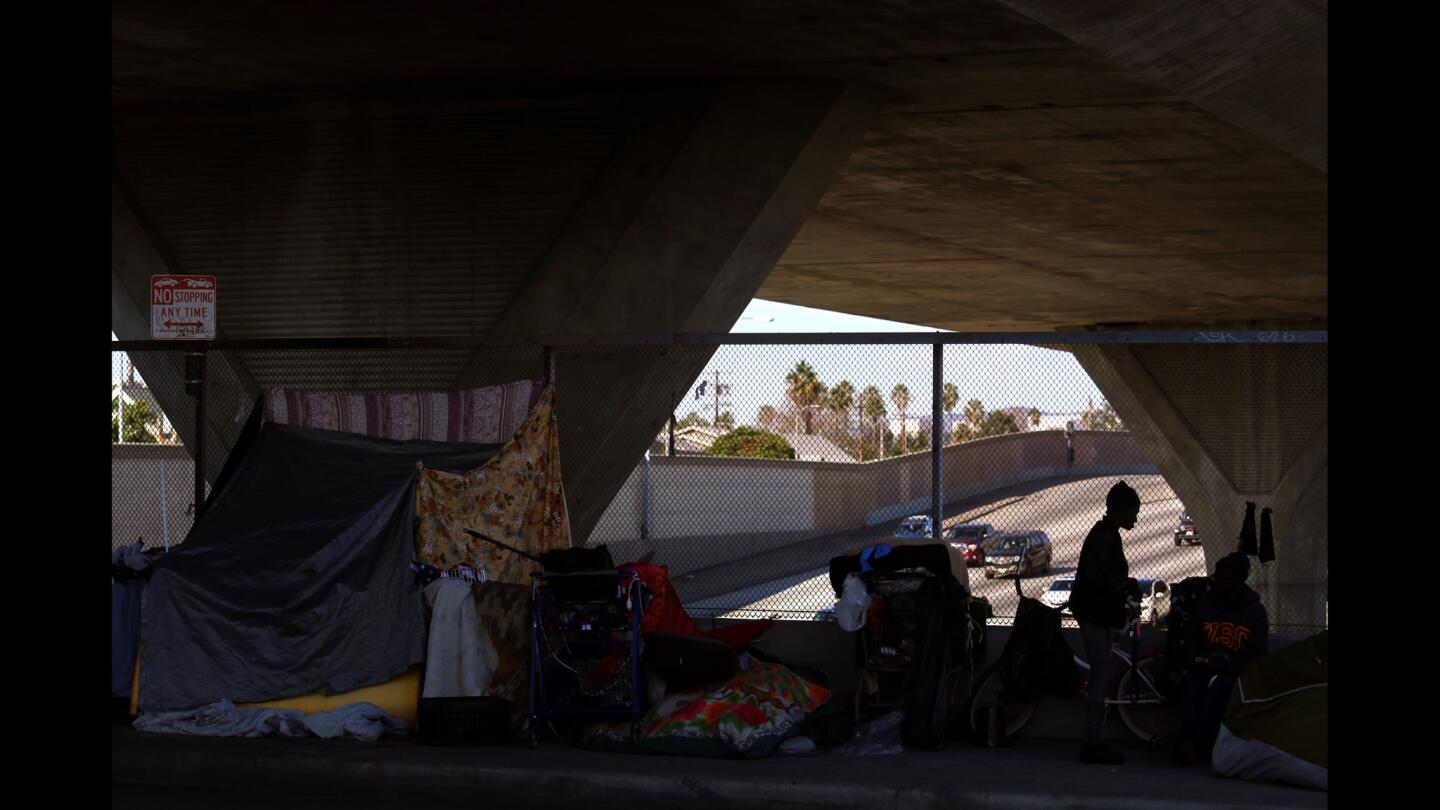 Freeways: A Refuge for the Homeless