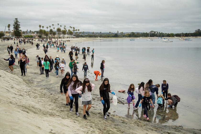 San Diego, California - May 17: Over 1,000 students, teachers and volunteers participate in a beach cleanup part of Kids Ocean Day hosted by I Love a Clean San Diego. Students, teachers and volunteers walk along the bay in Mission Beach on Friday, May 17, 2024 in San Diego, California. (Alejandro Tamayo / The San Diego Union-Tribune)