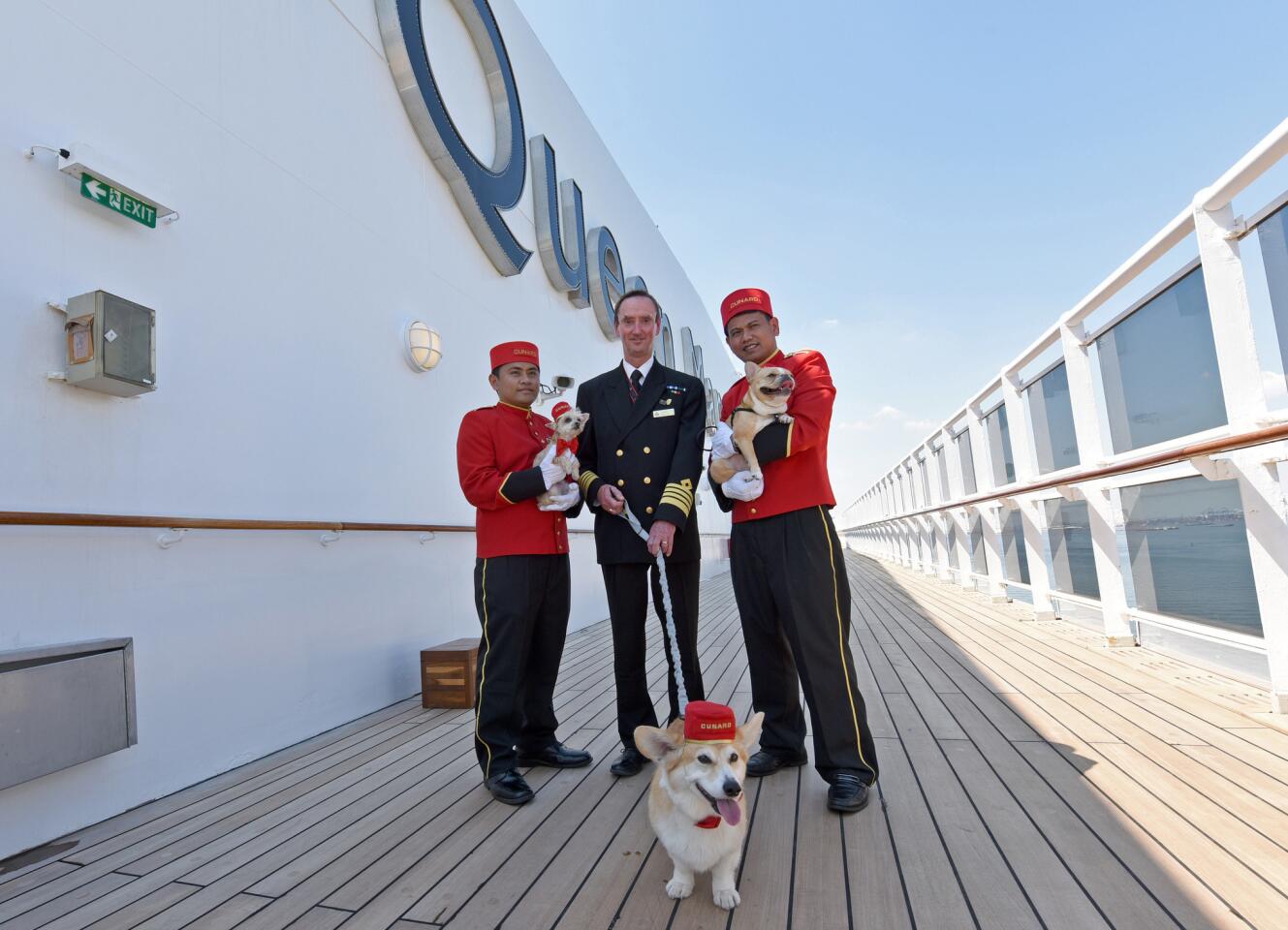 Dogs welcome on Queen Mary 2
