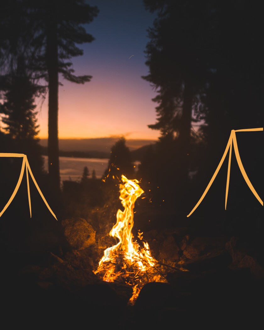 A campfire in the woods along a beach