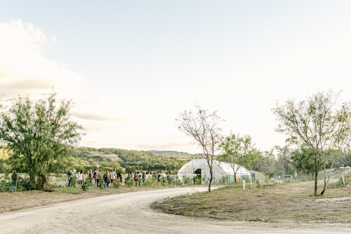 Sage Vegan Bistro owner faces backlash after going un-vegan - Los ...