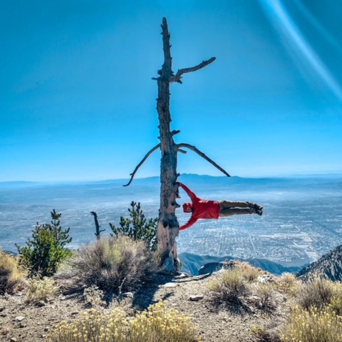 Man horizontally hanging onto a tree