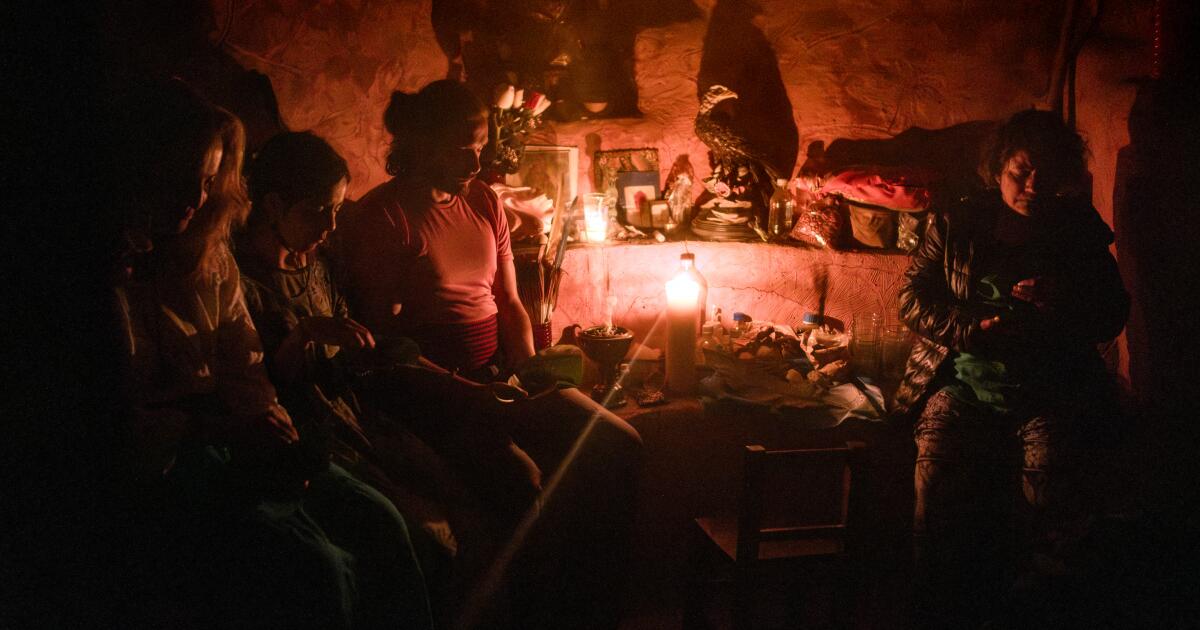 Mexico may legalize magic mushrooms. Will this traditional medicine lose its meaning? Mexico may legalize magic mushrooms. Will this traditional medicine lose its meaning?